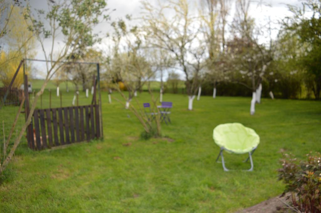 Au Passage Des Grues Bed & Breakfast Drosnay Exterior photo